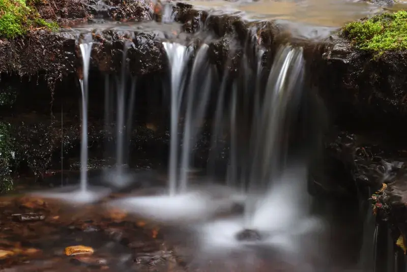 Gobbler Springs Distillery in Lawrenceburg, TN