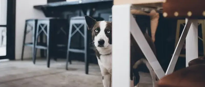 The Block Distilling Co. in Denver, CO